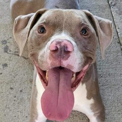 Photo of Rhino
