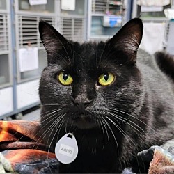 Photo of Annie