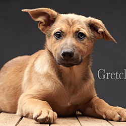 Photo of Gretchen