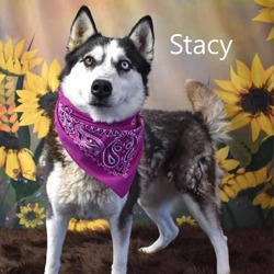 Thumbnail photo of Stacy #1