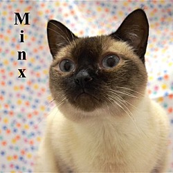 Thumbnail photo of Minx #4