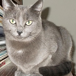 Thumbnail photo of Sonia #2
