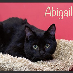Photo of Abigail