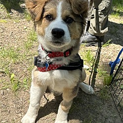 Photo of Bandito