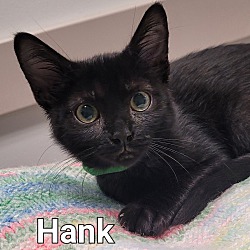 Photo of Hank Hill
