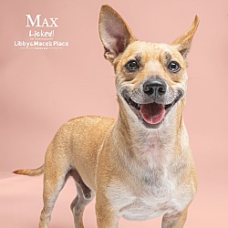 Thumbnail photo of Max #1