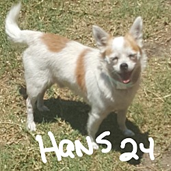 Thumbnail photo of Hans #1