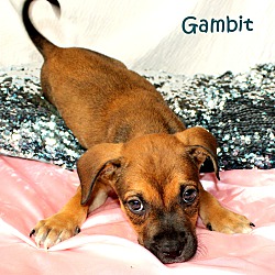 Thumbnail photo of Gambit~meet me! #2