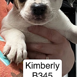 Photo of Kimberly B345