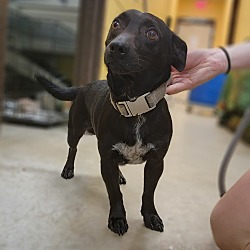 Photo of Smalls