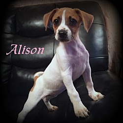 Photo of Alison