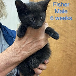 Photo of Fisher