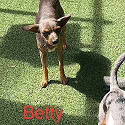 Thumbnail photo of Betty #3