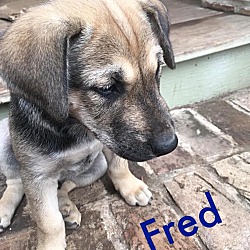 Thumbnail photo of fred #1