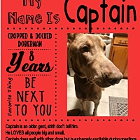 sweet home doberman rescue