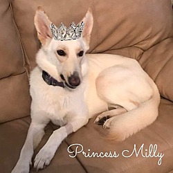 Thumbnail photo of Milly #2