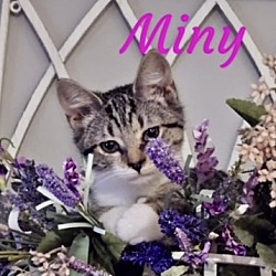 Thumbnail photo of Miny #2