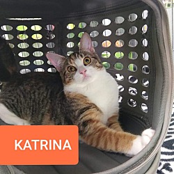 Thumbnail photo of Katrina #2