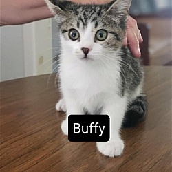 Photo of Buffy