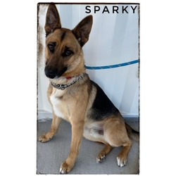 Photo of SPARKY