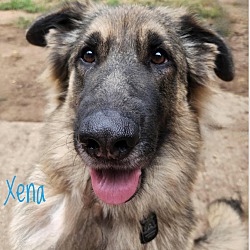 Thumbnail photo of Xena #1
