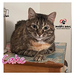 Thumbnail photo of Cake #3