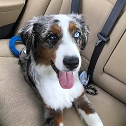 Photo of Sterling