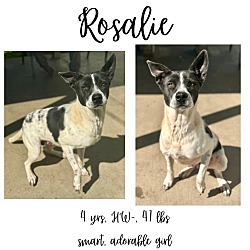 Thumbnail photo of Rosalie #1