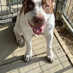 Photo of Fred