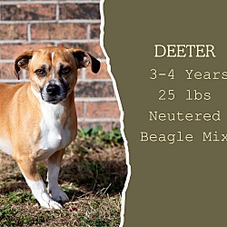 Photo of Deeter