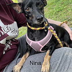 Thumbnail photo of Nina #1