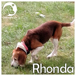 Thumbnail photo of Rhonda #1