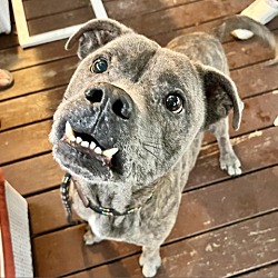 Photo of Gumball