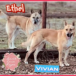 Photo of Ethel and Vivian