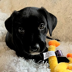 Photo of Mason