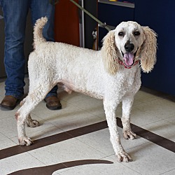 Photo of Cloud