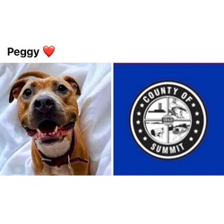 Photo of PEGGY