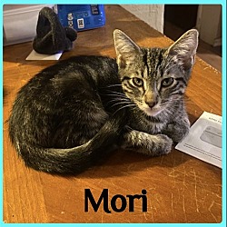 Photo of MORI