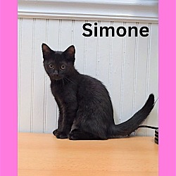 Photo of Simone