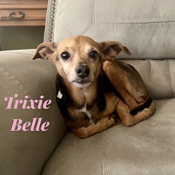 Thumbnail photo of TRIXIE BELLE #3