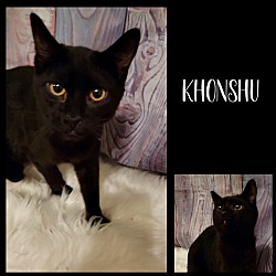 Photo of Khonshu