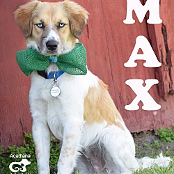Thumbnail photo of Max #4