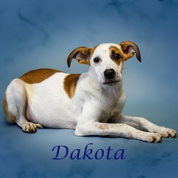 Thumbnail photo of Dakota D24-112 #2