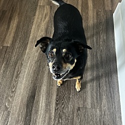 Photo of Leah