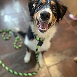 Photo of Sam