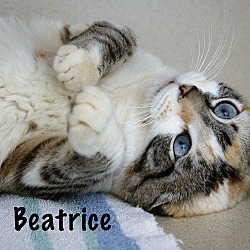 Thumbnail photo of Beatrice #2