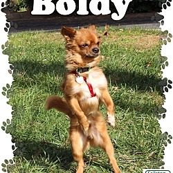 Thumbnail photo of Boldy #3