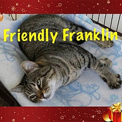 Thumbnail photo of Franklin #1