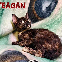 Photo of Teagan