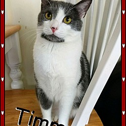 Thumbnail photo of Timmy #1